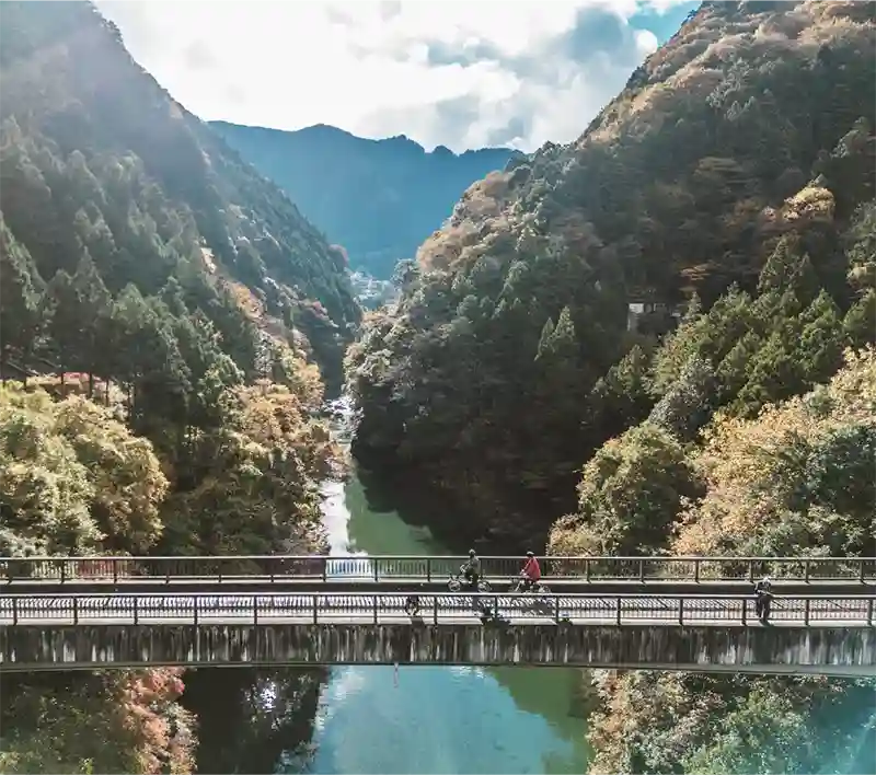 Feeling Nature 自然を感じる